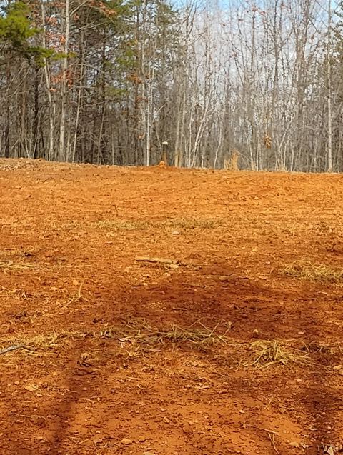 Tiny photo for 0 EASOME Road, Hurt, VA 24521 (MLS # 364616)