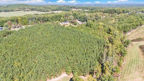 Tiny photo for 4152 Blue Ridge Drive, Gretna, VA 24557 (MLS # 363511)