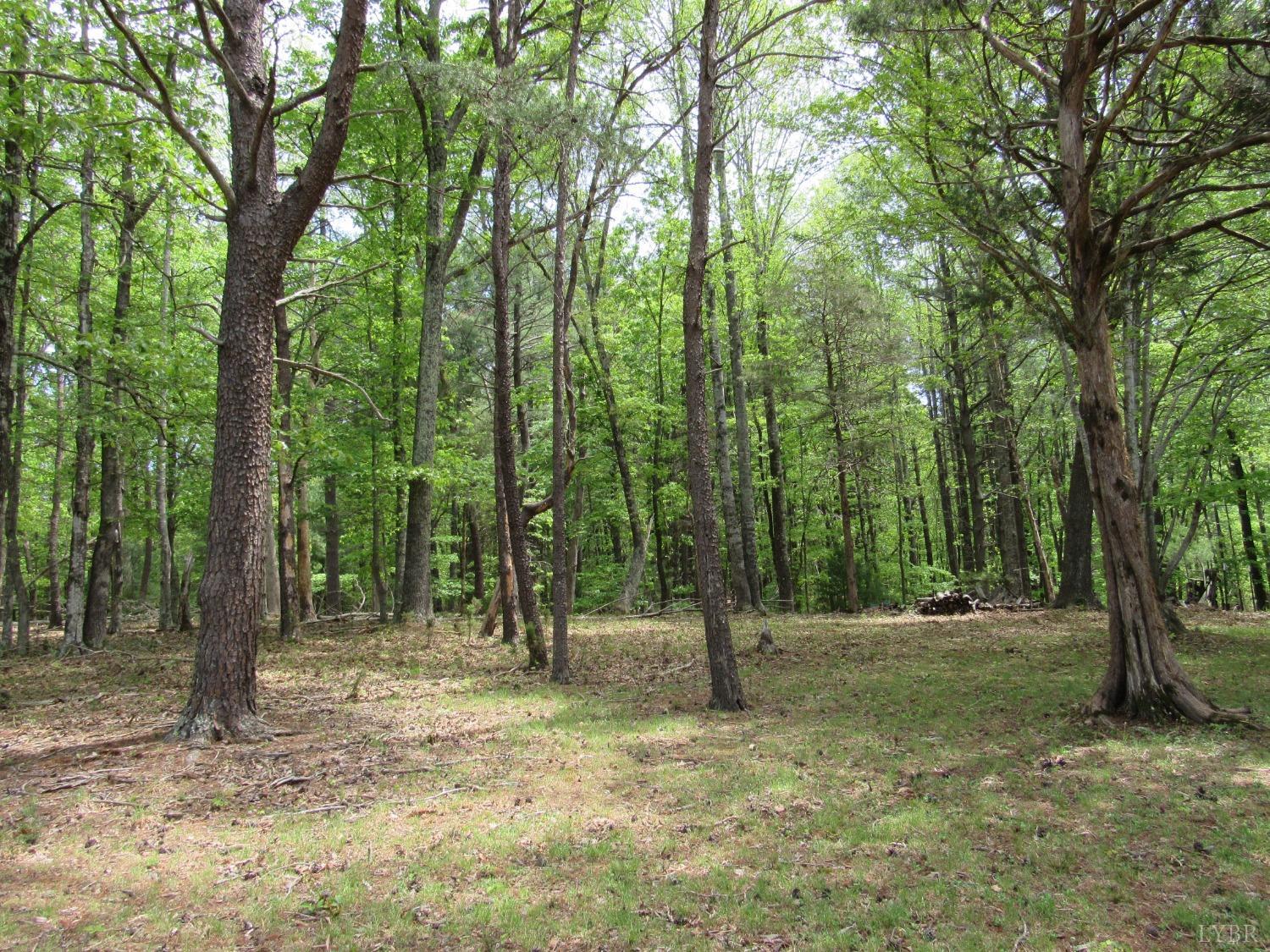 238 My Way Way, Amherst, Virginia image 25