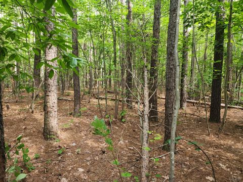 Tiny photo for 0 Red House Road, Appomattox, VA 24522 (MLS # 361457)