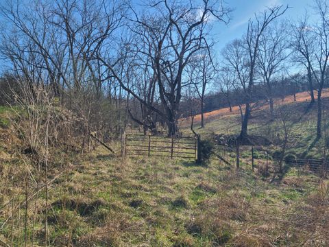 Tiny photo for 0 Cifax Road, Goode, VA 24556 (MLS # 365172)