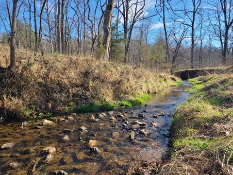 Tiny photo for 0 Cifax Road, Goode, VA 24556 (MLS # 365172)