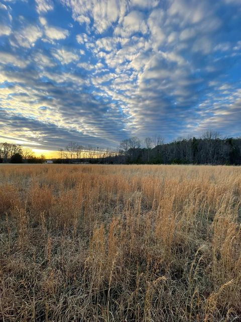 Tiny photo for 0 Sugar Hill Road, Brookneal, VA 24528 (MLS # 364120)