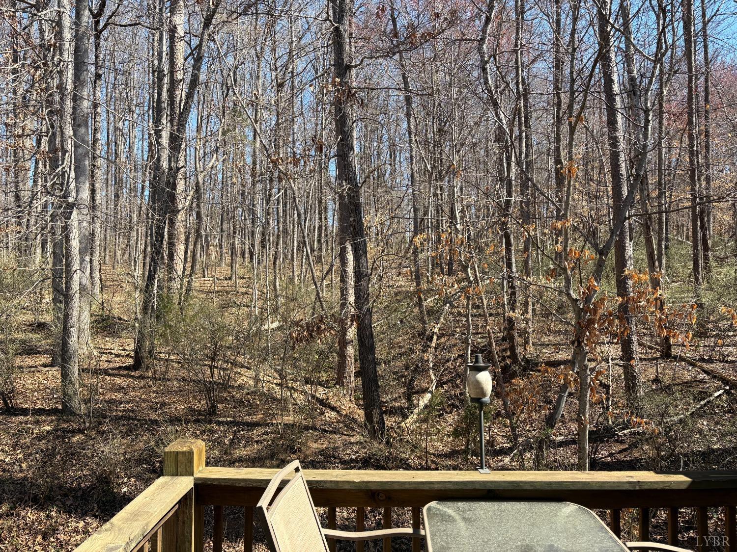 2009 Lakeside Drive #302, Lynchburg, Virginia image 31