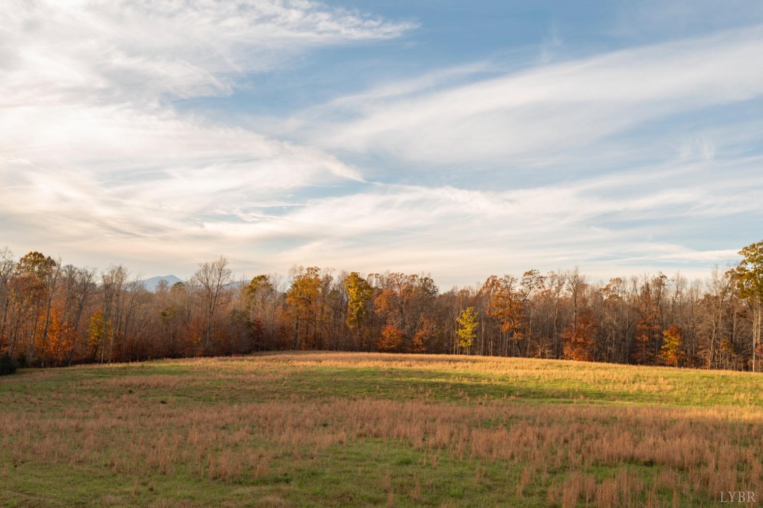 1762 Willow Oak Drive, Forest, Virginia image 44