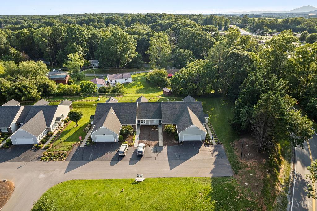 1055 Jefferson Oaks Court #3, Forest, Virginia image 32