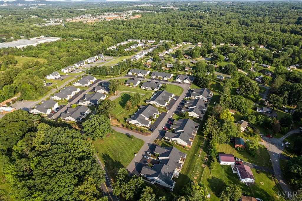 1055 Jefferson Oaks Court #3, Forest, Virginia image 33