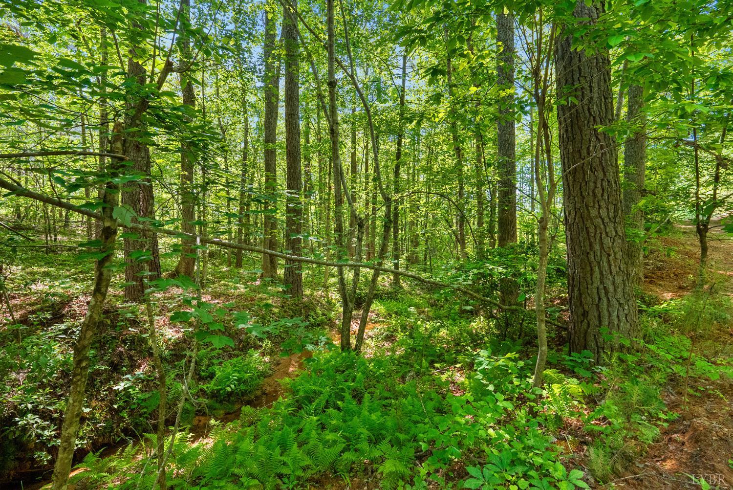5150 Norwood Road, Gladstone, Virginia image 38