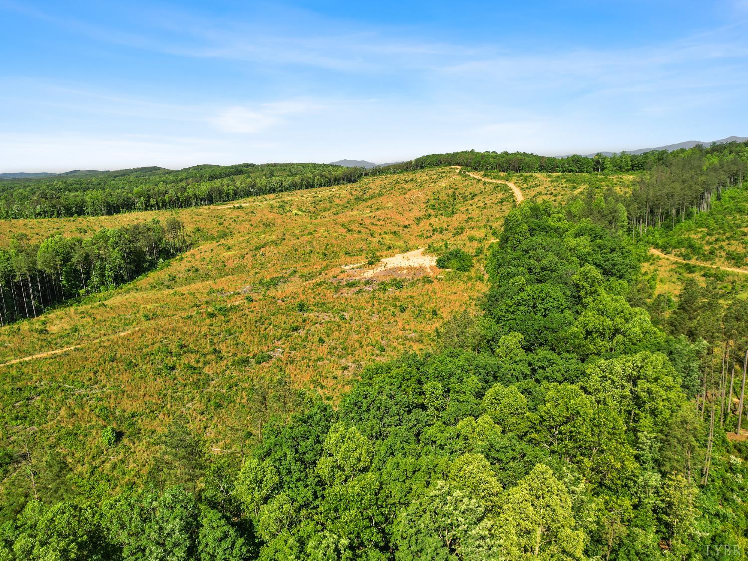 5150 Norwood Road, Gladstone, Virginia image 28
