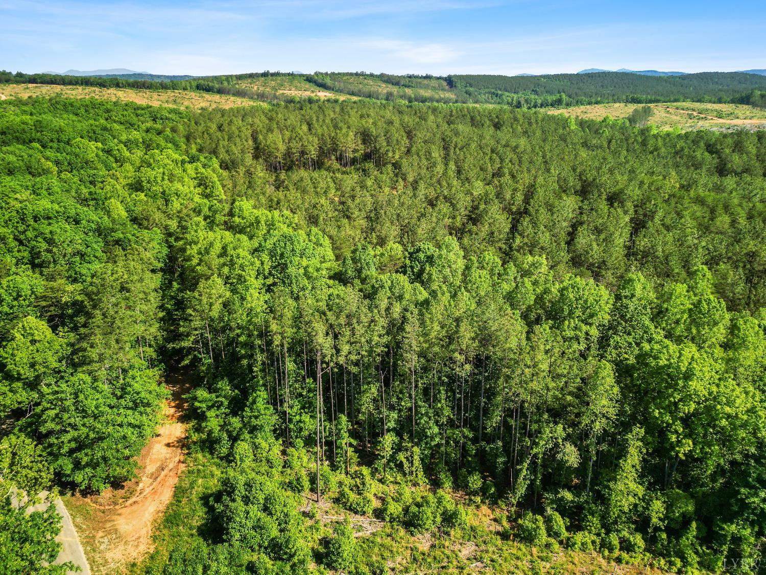 5150 Norwood Road, Gladstone, Virginia image 34