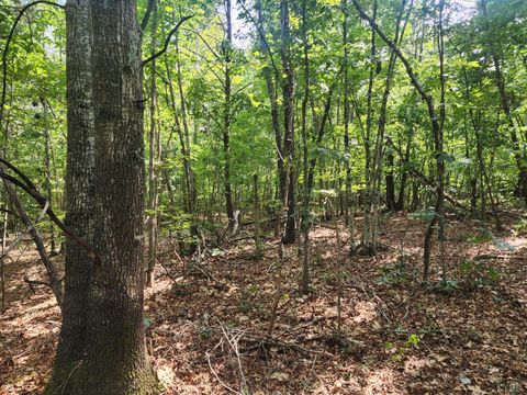 Tiny photo for 0 Red House Road, Appomattox, VA 24522 (MLS # 361634)