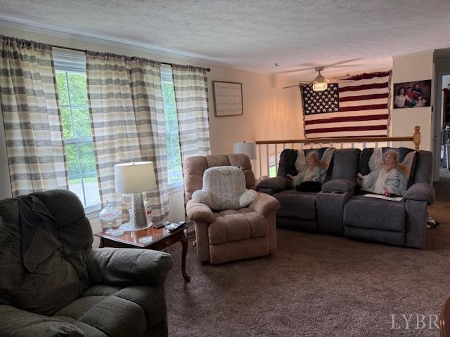 1134 Coolbrook Road, Bedford, Virginia image 5