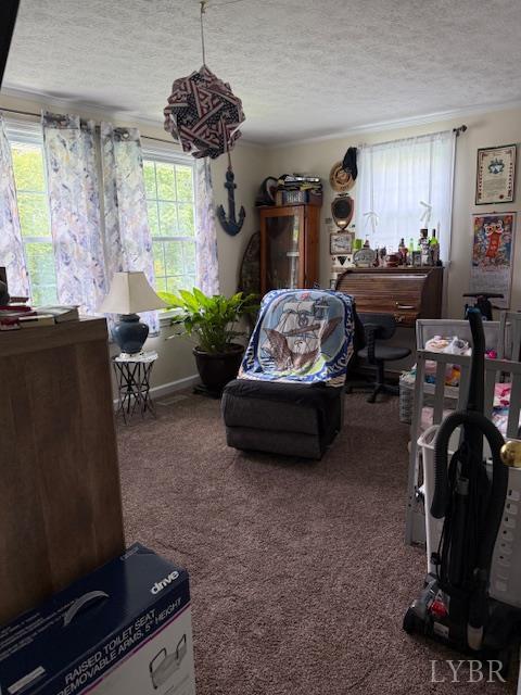 1134 Coolbrook Road, Bedford, Virginia image 7