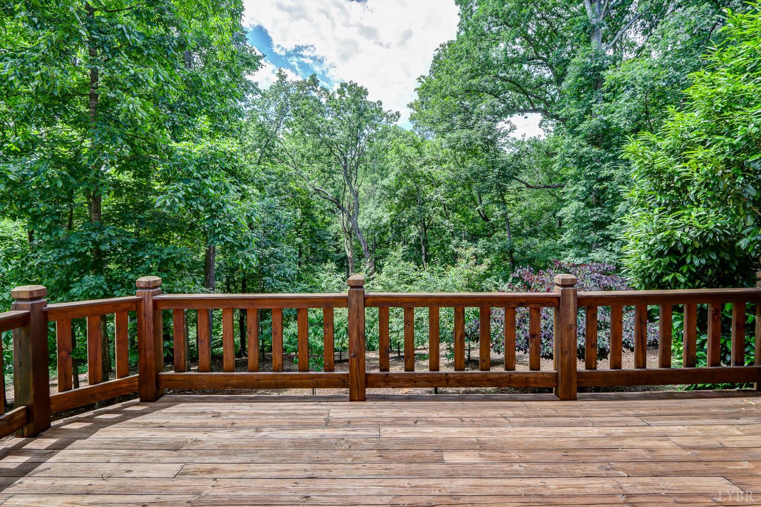 1146 Audubon Drive, Lynchburg, Virginia image 46