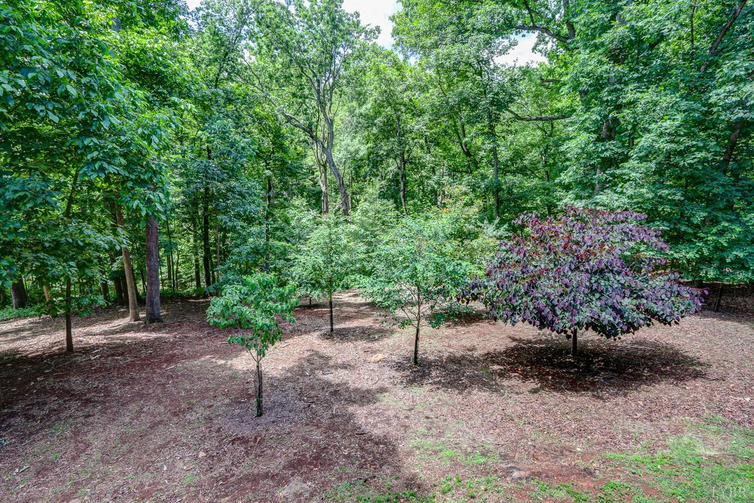 1146 Audubon Drive, Lynchburg, Virginia image 47
