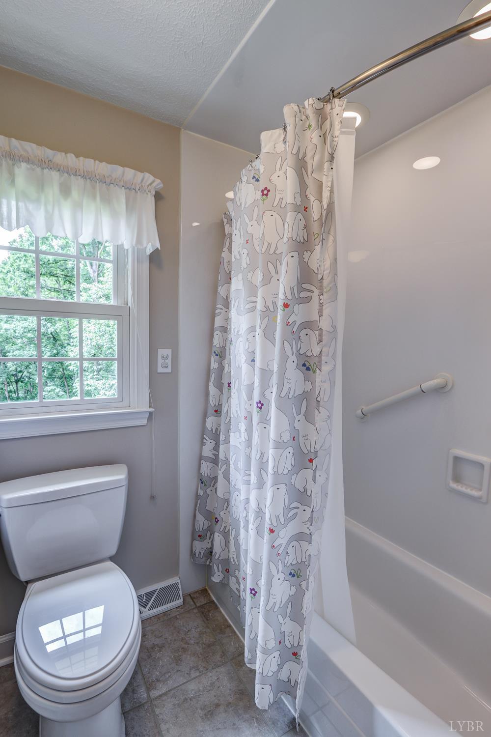 1146 Audubon Drive, Lynchburg, Virginia image 38