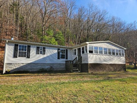 Photo of 222 Cove Mountain Lane, Buchanan, VA 24066 (MLS # 363280)