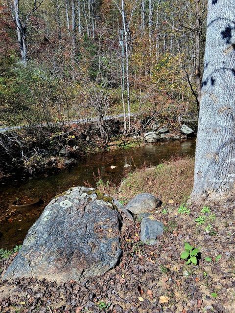 Tiny photo for 0 North Forks Road, Amherst, VA 24521 (MLS # 362800)