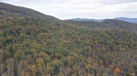 Tiny photo for 0 North Forks Road, Amherst, VA 24521 (MLS # 362800)