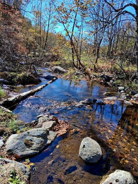 Tiny photo for 0 North Forks Road, Amherst, VA 24521 (MLS # 362800)