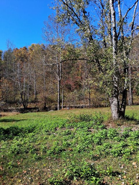 Tiny photo for 0 North Forks Road, Amherst, VA 24521 (MLS # 362800)