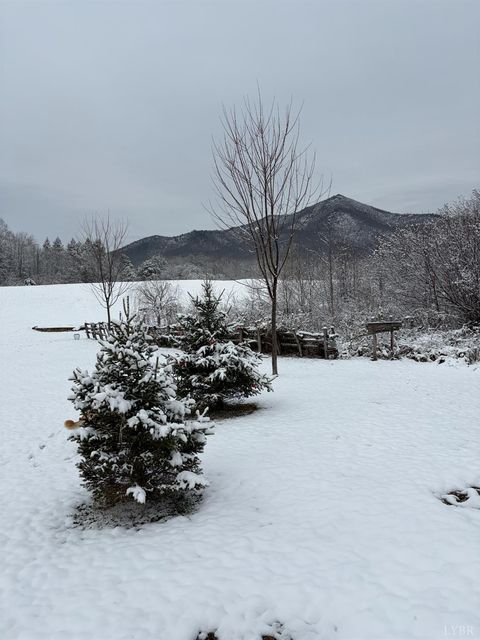 Tiny photo for 7392 Peaks Road, Bedford, VA 24523 (MLS # 364675)