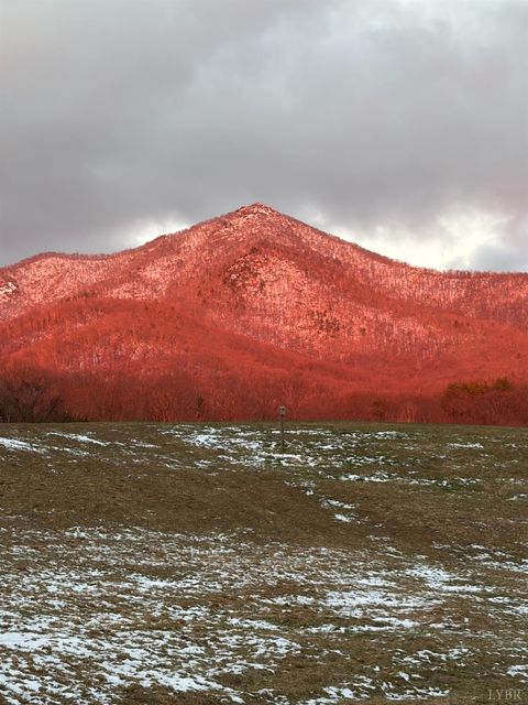 Tiny photo for 7392 Peaks Road, Bedford, VA 24523 (MLS # 364675)