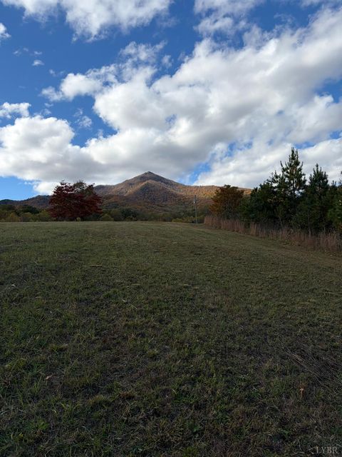 Tiny photo for 7392 Peaks Road, Bedford, VA 24523 (MLS # 364675)