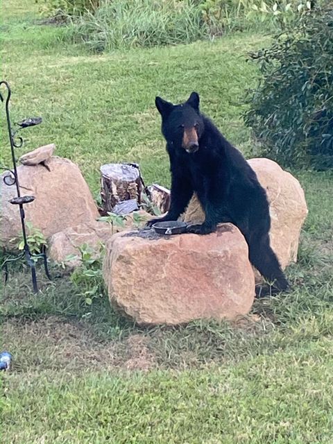 Tiny photo for 7392 Peaks Road, Bedford, VA 24523 (MLS # 364675)