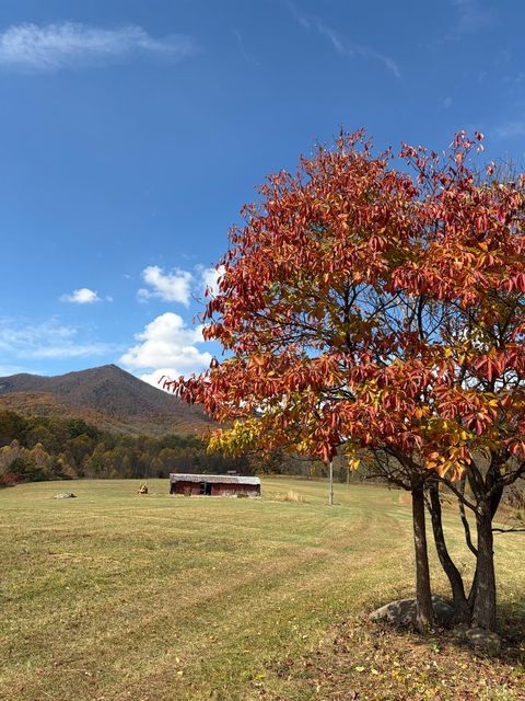 Tiny photo for 7392 Peaks Road, Bedford, VA 24523 (MLS # 364675)