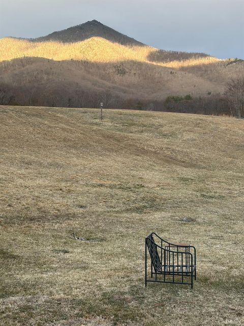 Tiny photo for 7392 Peaks Road, Bedford, VA 24523 (MLS # 364675)