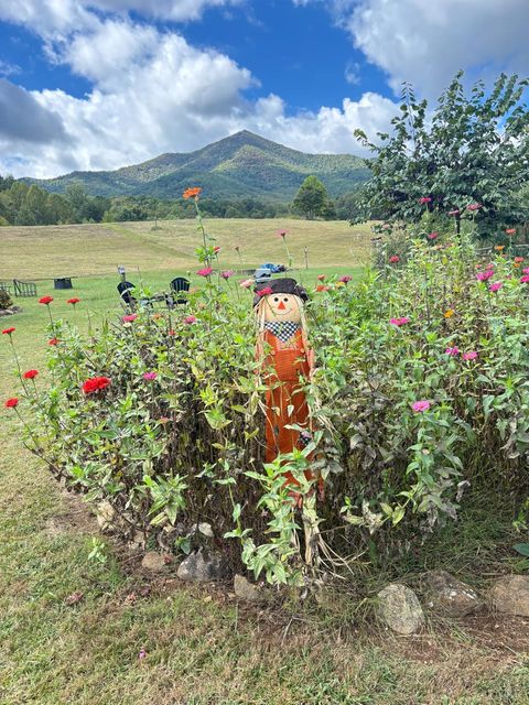 Tiny photo for 7392 Peaks Road, Bedford, VA 24523 (MLS # 364675)