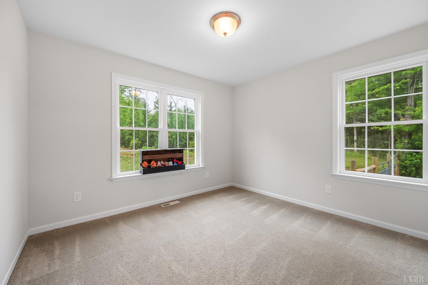 1194 Hamler Road, Forest, Virginia image 36