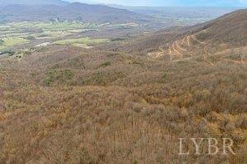 Tiny photo for 0 Adventure Mountain, Montvale, VA 24122 (MLS # 366691)