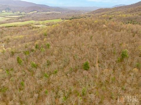 Photo of 0 Adventure Mountain, Montvale, VA 24122 (MLS # 366691)