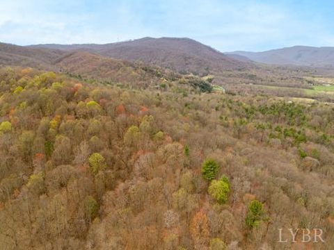 Tiny photo for 0 Adventure Mountain, Montvale, VA 24122 (MLS # 366691)