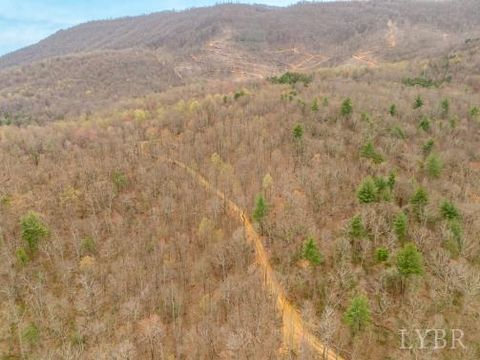 Tiny photo for 0 Adventure Mountain, Montvale, VA 24122 (MLS # 366691)