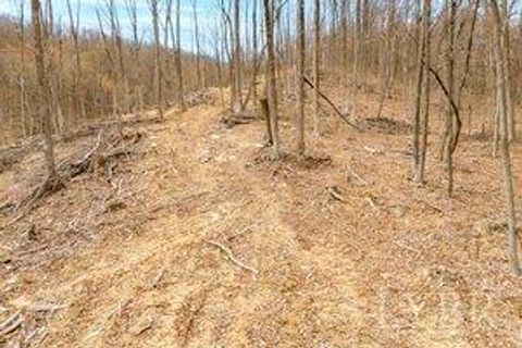 Tiny photo for 0 Adventure Mountain, Montvale, VA 24122 (MLS # 366691)