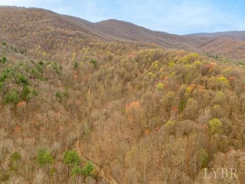 Tiny photo for 0 Adventure Mountain, Montvale, VA 24122 (MLS # 366691)