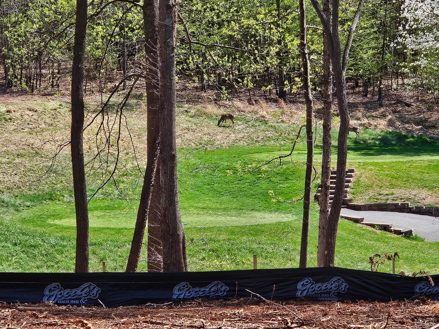 12 Pointe O Woods Drive, Huddleston, Virginia image 2