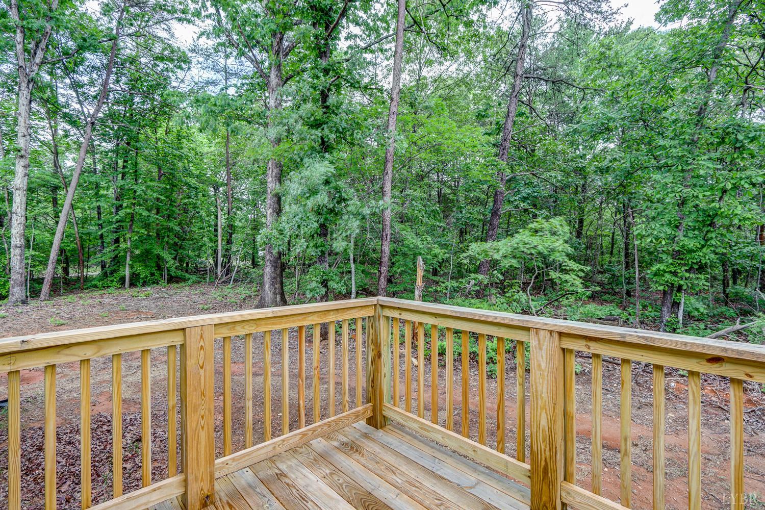 895 Union Hill Rd, Amherst, Virginia image 40