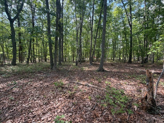 BENT CREEK RD, CONCORD, VA 24538 - Image 6426b044c8e3a19fbd58babe9c428d92/495350050