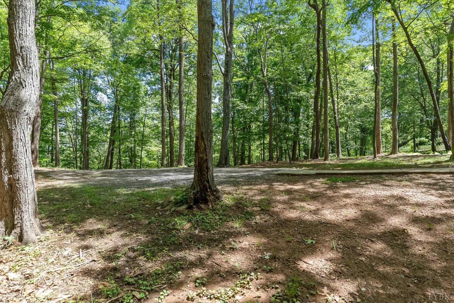 1120 Cedar Lane Court, Lynchburg, Virginia image 26
