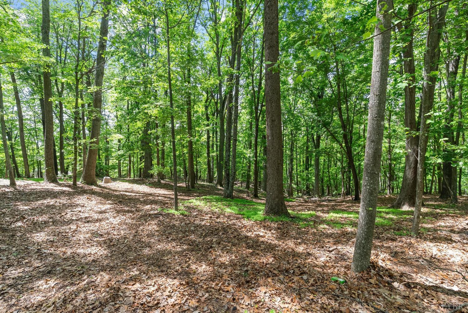 1120 Cedar Lane Court, Lynchburg, Virginia image 32