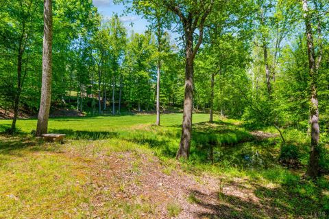 Tiny photo for 1038 Lees Mill Lane, Goode, VA 24556 (MLS # 366577)
