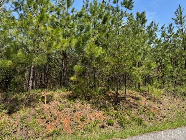 3 Stage Rd, Concord, Virginia image 6