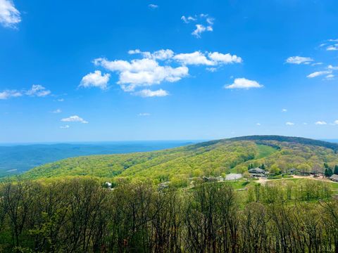Tiny photo for 2213 Tanners Ridge RDG, Wintergreen, VA 22967 (MLS # 366559)