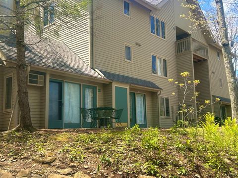 Tiny photo for 2213 Tanners Ridge RDG, Wintergreen, VA 22967 (MLS # 366559)