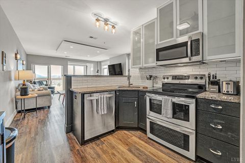 Tiny photo for 1245 Graves Harbor Trail #238, Huddleston, VA 24504 (MLS # 364828)