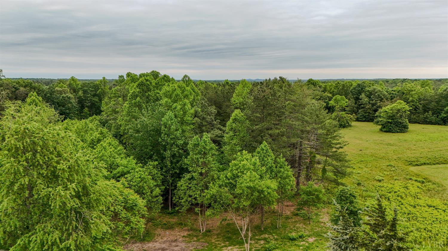 15939 Richmond Highway, Pamplin, Virginia image 17
